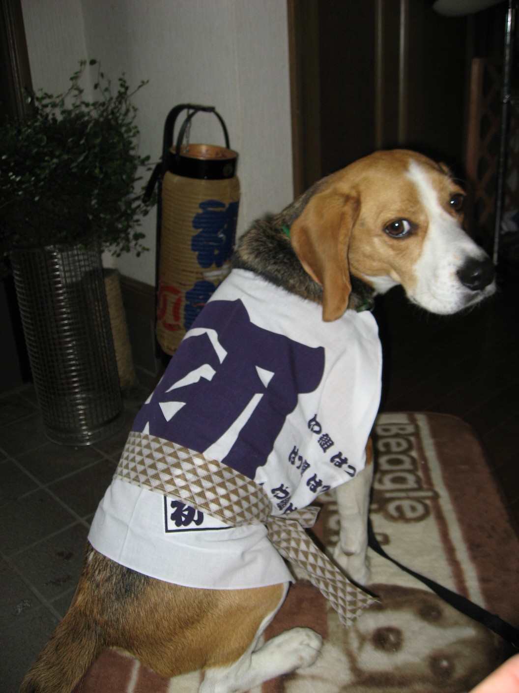 c0119142_012052.jpg