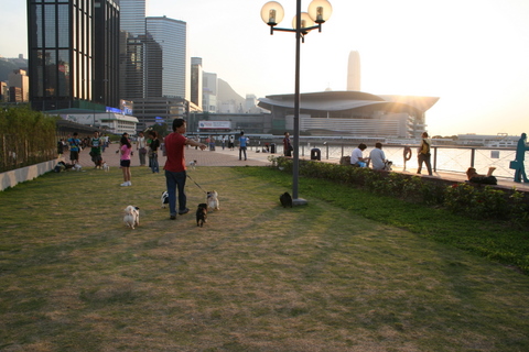 e0018143_2271683.jpg