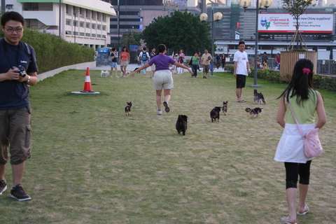 e0018143_2321677.jpg