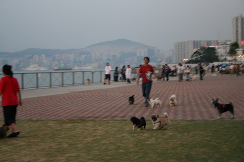 e0018143_2341320.jpg