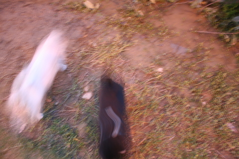 e0018143_2344950.jpg