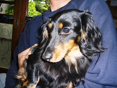 e0100046_22153470.jpg