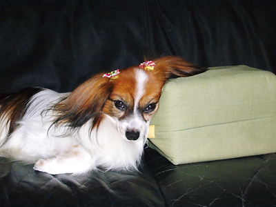 e0100046_2223198.jpg
