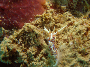 d0065247_22435740.jpg