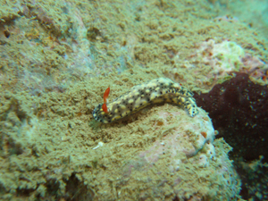 d0065247_22443776.jpg
