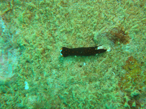 d0065247_2341156.jpg