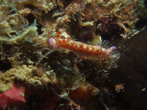 d0065247_23433100.jpg
