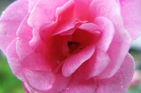 a0012950_1575941.jpg