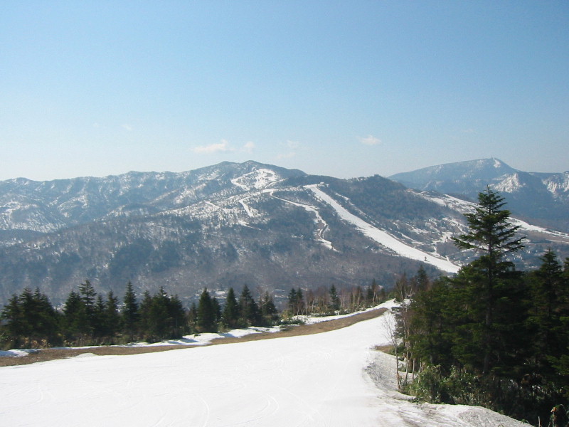 a0022655_758163.jpg