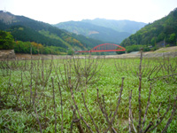 c0027965_011647.jpg
