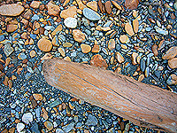 c0027965_024545.jpg