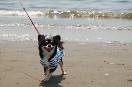 f0065768_20103694.jpg