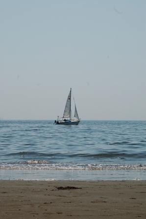 f0065768_20163672.jpg