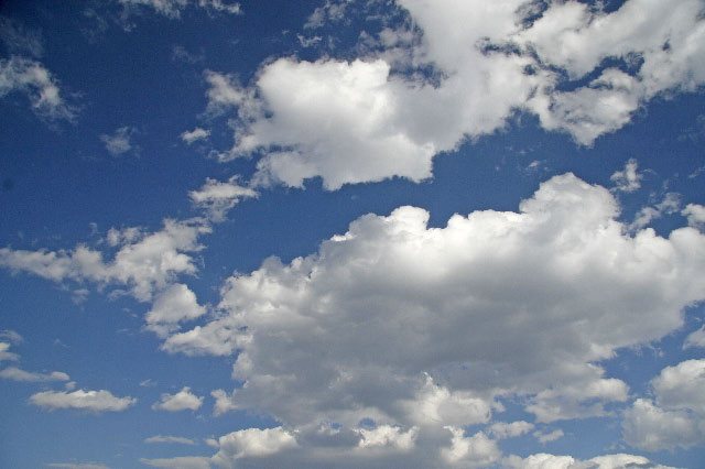 e0100772_2247350.jpg