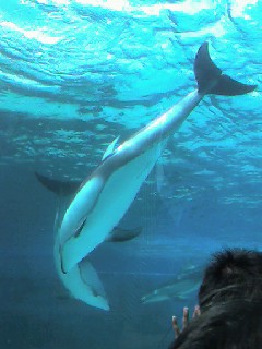 f0107072_8273270.jpg