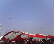 f0124273_9132121.jpg