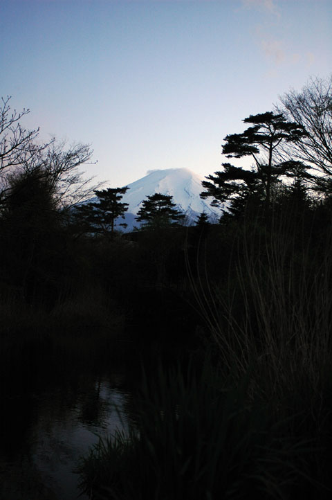 c0080180_22452876.jpg