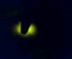 c0082785_21485184.jpg