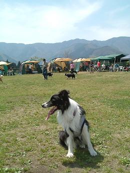 a0065800_1273179.jpg
