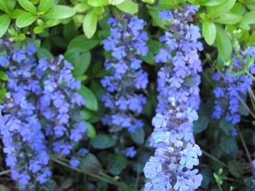 f0109900_16255073.jpg