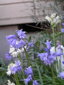 f0109900_16354716.jpg