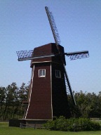 c0011801_4504119.jpg