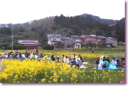 c0048701_15341940.jpg