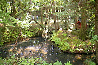 a0010602_1449571.jpg