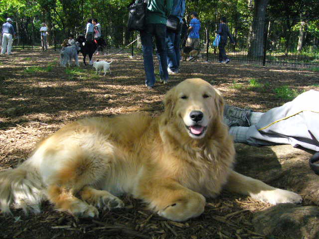 d0070702_7584892.jpg