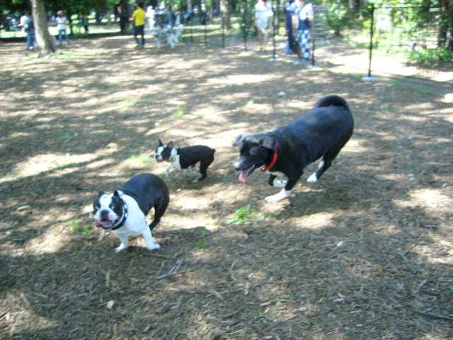 d0070702_822436.jpg