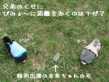 b0081503_1555225.jpg