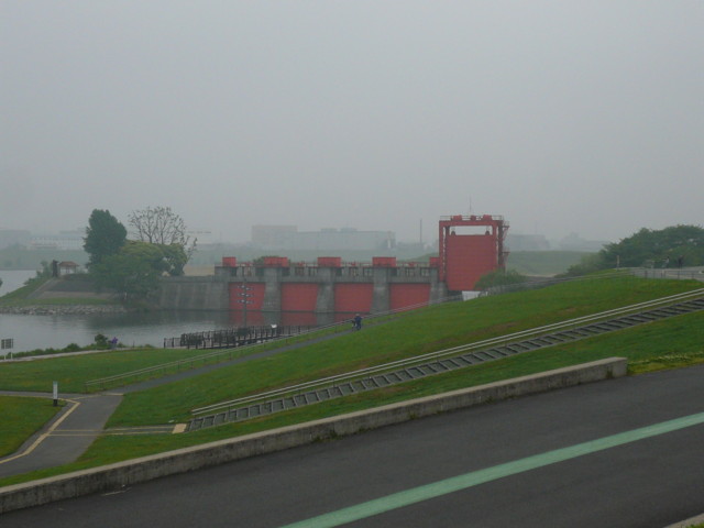 a0077616_1736351.jpg