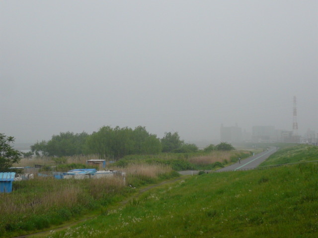 a0077616_17371315.jpg