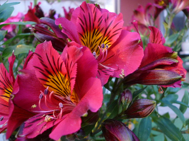 e0026017_22162743.jpg