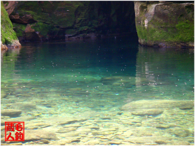 a0072319_20421190.jpg