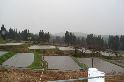 e0058920_2244761.jpg