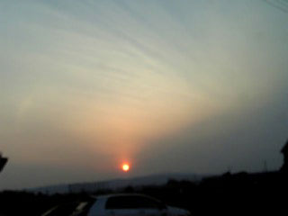 b0022623_1564885.jpg