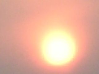 b0022623_159216.jpg