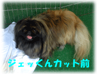 b0078030_0451241.gif