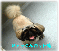 b0078030_045391.gif