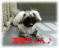 b0078030_0463725.gif