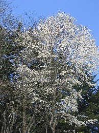 b0057839_20152778.jpg