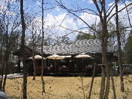 b0057839_20162366.jpg
