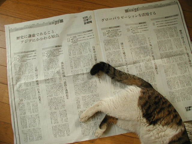a0054043_10473027.jpg