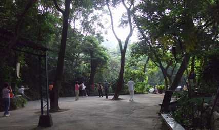 b0028746_1151850.jpg