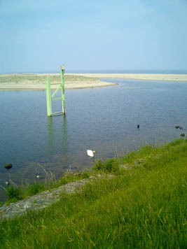 b0028347_17254211.jpg