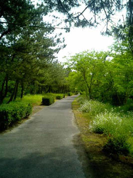 b0028347_17365215.jpg