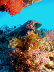 d0065247_21505184.jpg