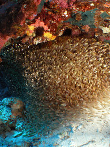 d0065247_21513099.jpg