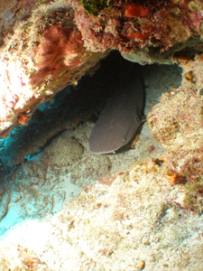 d0065247_21515949.jpg